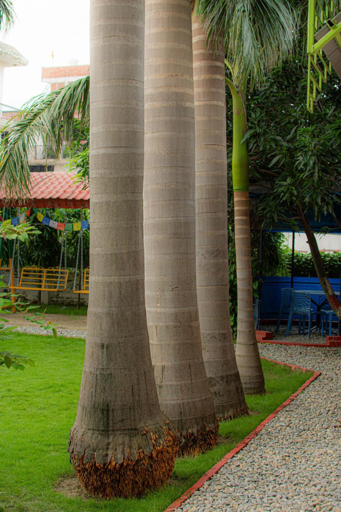 Galaxy Guest House Siddharthanagar Exterior foto